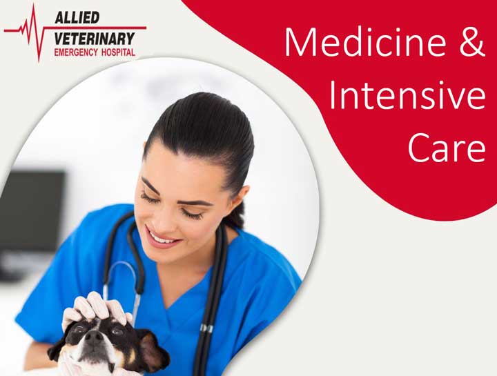 Medicine and Intensive Care